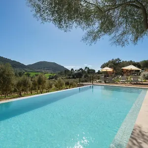 Hotel Treurer - Olive Grove & Grand House - Adults Only